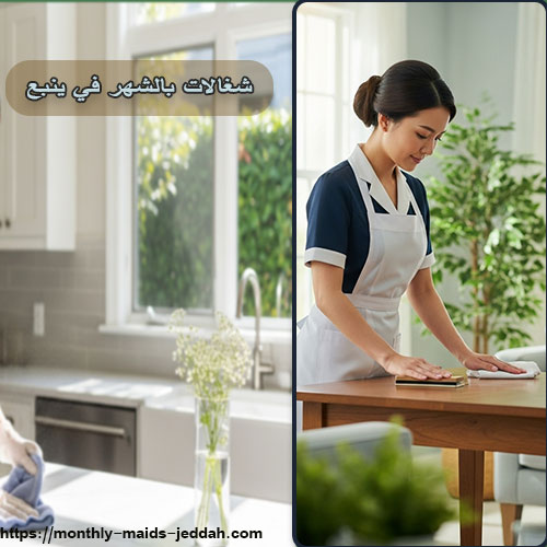 شغالات بالشهر في ينبع